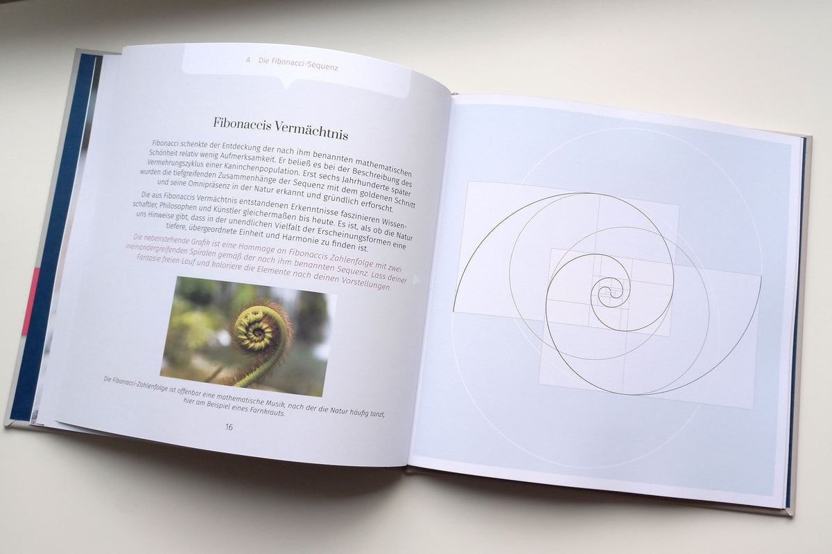 Limitierter Erstdruck: Mal - und Lernbuch "Die Magie des goldenen Schnitts", Hardcover, 40 Seiten - BONANI Design Buch